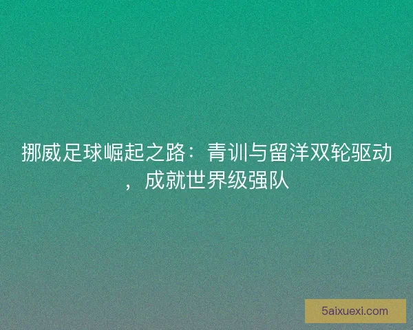 挪威足球崛起之路：青训与留洋双轮驱动，成就世界级强队